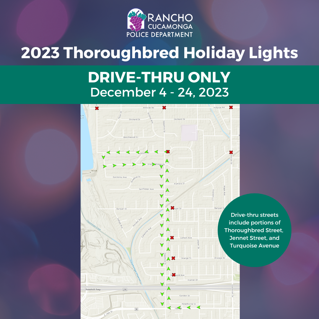 Thoroughbred Christmas Lights 2024 Schedule Free Fleur Jessika